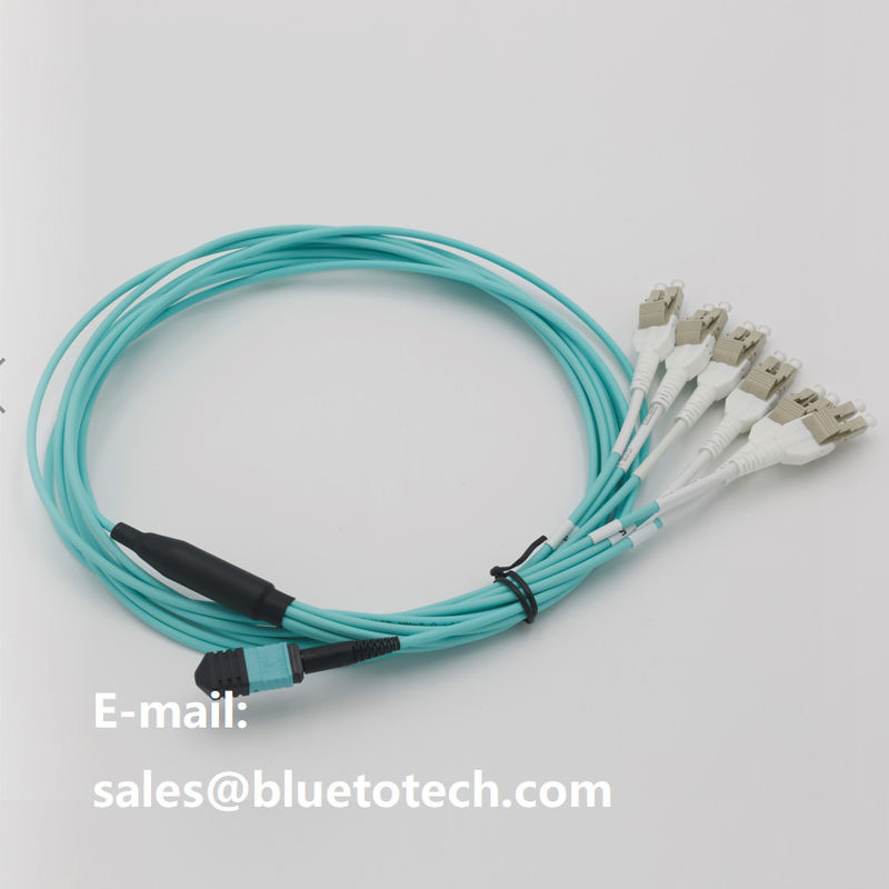Data Center MPO MTP Fiber Optic Patch Cord Low Insertion 24 Cores MPO ...