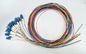 12 Colors 12 Fiber Optic Pigtail LC UPC Connector , 0.9mm Tight Buffer Single Mode Pigtail